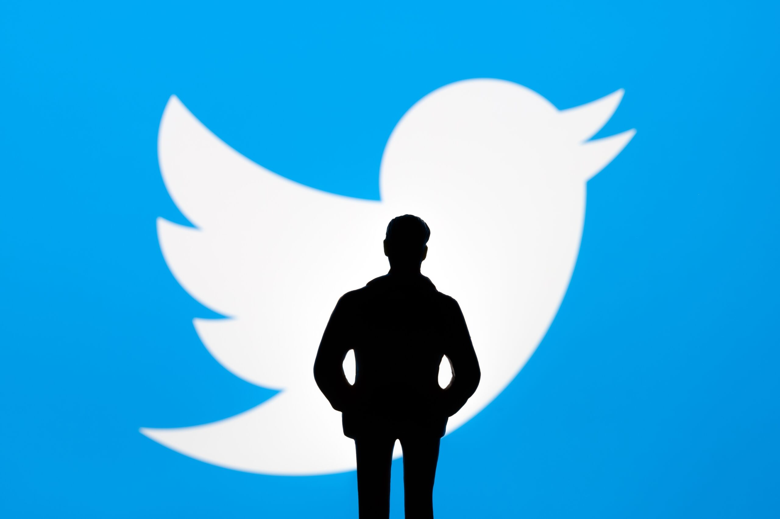 Twitter,And,Elon,Musk,Deal,Concept.,Figurine,Silhouette,Is,Seen